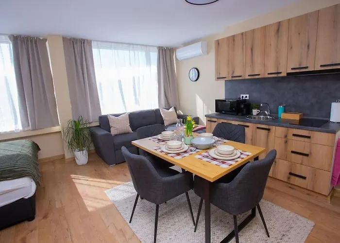 Apartament In The Center Of *